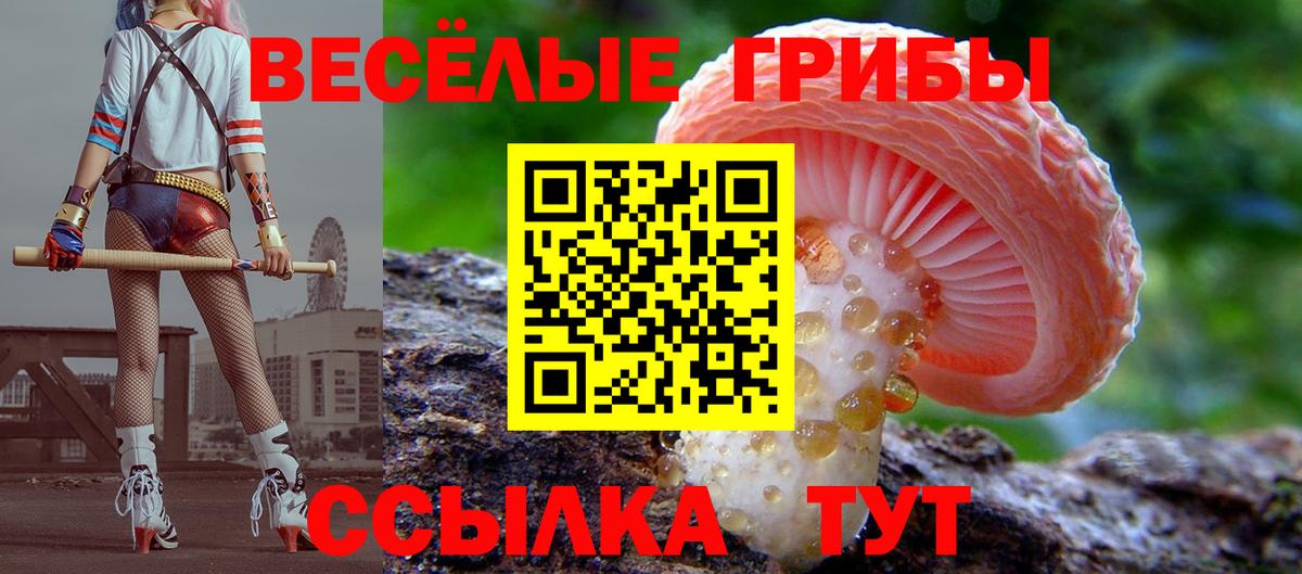 Галлюциногенные грибы мицелий Десногорск