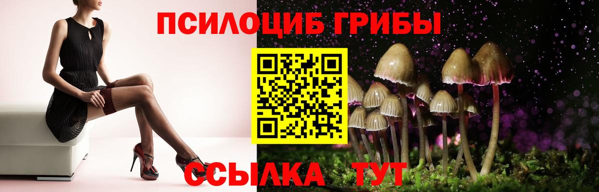 Псилоцибиновые грибы GOLDEN TEACHER  Вход с VPN  Десногорск  Галлюциногенные грибы Magic Shrooms 